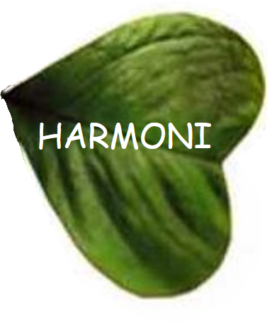 Treklöver blad 3.PNG